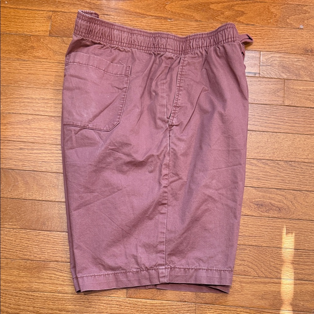 GAP Men's Flat Front Shorts in Mauve